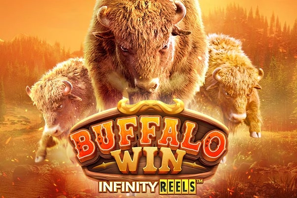 17605 buffalo win