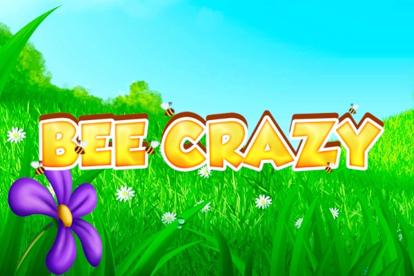 25260 bee crazy
